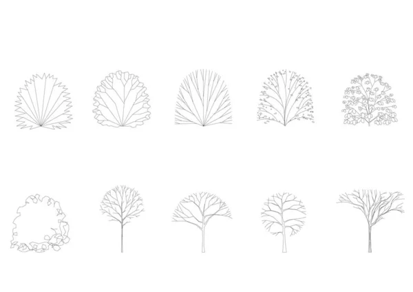 Baumlinie Zeichnung Seitenansicht Grafiken — Stockvektor
