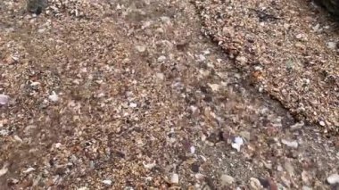 Deniz suyu ve doğa yaz mevsiminde deniz manzarası gezer. Sahilde sonbahar arkaplanı güneş ışığı tatil dalgası açık hava mavi ışık kıyı şeridi günü. Güneşli manzaralı ufukta güneş ışığı.