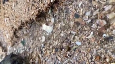 Deniz suyu ve doğa yaz mevsiminde deniz manzarası gezer. Sahilde sonbahar arkaplanı güneş ışığı tatil dalgası açık hava mavi ışık kıyı şeridi günü. Güneşli manzaralı ufukta güneş ışığı.