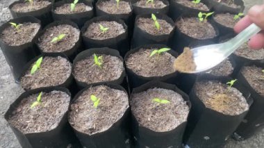 tarım çiftçisi gübre fabrikası büyümesi.