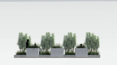 Mimari bahçe parkı peyzaj terası modern 3D tasarım. Bahçe tropikal dış bahçe ağaç dalı beton süslemesi. park kavramı boş.