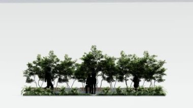 Mimari bahçe parkı peyzaj terası modern 3D tasarım. Bahçe tropikal dış bahçe ağaç dalı beton süslemesi. park kavramı boş.