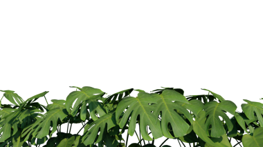 bitki örtüsü bitki örtüsü yeşil doğal çevre yeşillik arkaplan 3d görüntüleme.