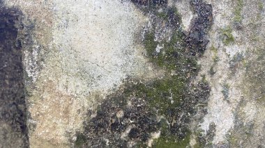 Beton duvar soyut arkaplan dokusu çimento gri arkaplan eski. Tasarım grunge kaba sanat yüzeyi zemin boş taş retro beyaz desenli duvar kağıdı dekoratif iç dekoratif desen yıpranmış.