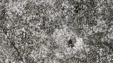 Beton duvar soyut arkaplan dokusu çimento gri arkaplan eski. Tasarım grunge kaba sanat yüzeyi zemin boş taş retro beyaz desenli duvar kağıdı dekoratif iç dekoratif desen yıpranmış.