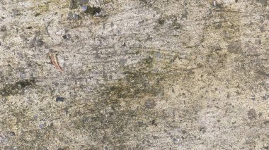 Beton duvar soyut arkaplan dokusu çimento gri arkaplan eski. Tasarım grunge kaba sanat yüzeyi zemin boş taş retro beyaz desenli duvar kağıdı dekoratif iç dekoratif desen yıpranmış.