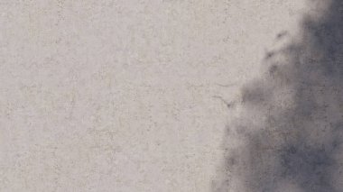 gölge duvar dokusu güneş ışığı yaprağı gölgesi soyut 3D görüntüsü. Hafif doğa bitkisinin yaprakları ağaç yaprağı tasarım arkaplanını gölgeliyor. Duvar kâğıdı modelleme arka planı beyaz efekti çok az doğal.