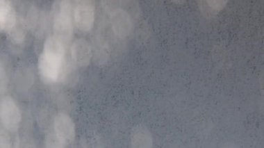 gölge duvar dokusu güneş ışığı yaprağı gölgesi soyut 3D görüntüsü. Hafif doğa bitkisinin yaprakları ağaç yaprağı tasarım arkaplanını gölgeliyor. Duvar kâğıdı modelleme arka planı beyaz efekti çok az doğal.