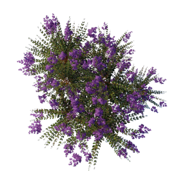 Ağaç manzaralı bitki mimarisi bahçe havası. Ağaçlar koleksiyon ortamını izole eder yeşil botanik çalı parkı. Ağaç mimarisi kozalaklı dekoratif.