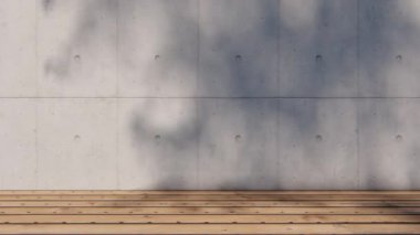 gölge duvar dokusu güneş ışığı yaprağı gölgesi soyut 3D görüntüsü. Hafif doğa bitkisinin yaprakları ağaç yaprağı tasarım arkaplanını gölgeliyor. Duvar kâğıdı modelleme arka planı beyaz efekti çok az doğal.