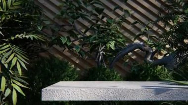 Doğal arka plan ürünü orman boş yeşil doğal ekran podyumu kozmetik. Güzellik platformu yaz kaidesi sahnesi açık hava desenli bitki tropikal. Ağaç taşı yaprağı bahçesi terfisi taze model.