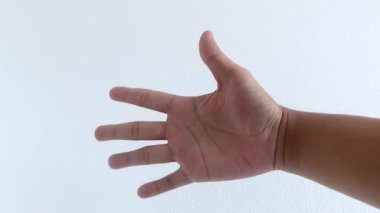 El hareketi. İnsan bileği işareti. Beyaz izole edilmiş. Elleri boş avuç içini gösteren yetişkin el kol hareketleri. dokunma kavramı vücut iletişim simgesi insanlar başparmak yakın çekim.