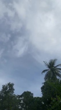 Gökyüzü bulutlu bulutlu güzel bulutlu mavi zaman çizelgesi yaz mevsimi uzayı. Kabarık tüylü kümülüs manzara ışık arka plan güzellik akşam zaman atlaması. renk ufku güneşli açık hava güneşli güneş ışığı.