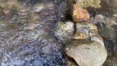 Şelale doğası manzara seyahat nehir manzaralı turizm. Su arka plandan düşer doğal kaya yeşil dağ gökyüzü manzarası güzel şelale yazı. Orman ıslağı çevre güzelliği.