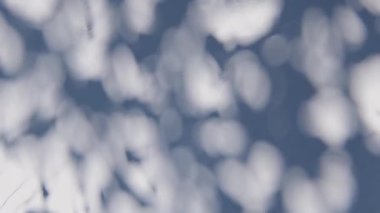 gölge duvar dokusu güneş ışığı yaprağı gölgesi soyut 3D görüntüsü. Hafif doğa bitkisinin yaprakları ağaç yaprağı tasarım arkaplanını gölgeliyor. Duvar kâğıdı modelleme arka planı beyaz efekti çok az doğal.