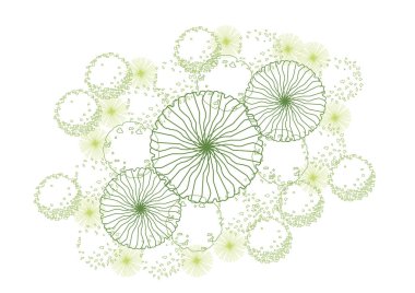 Mimari çizim bitki ağacı üst görünüm planı yeşillik bitki örtüsü vektörü. Doğa tasarımı mimari peyzaj element çizimi çalı fidanı fidanı minimumu. Mimar izole.