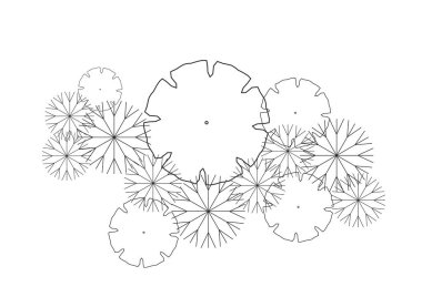 Mimari çizim bitki ağacı üst görünüm planı yeşillik bitki örtüsü vektörü. Doğa tasarımı mimari peyzaj element çizimi çalı fidanı fidanı minimumu. Mimar izole.