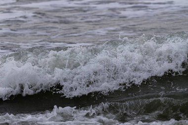 Sahildeki deniz dalgası