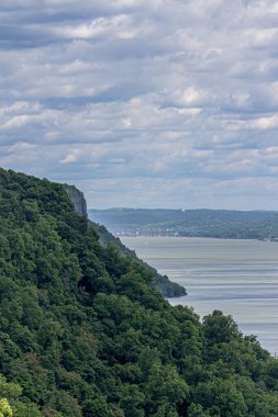 Ormanın güzel manzarası