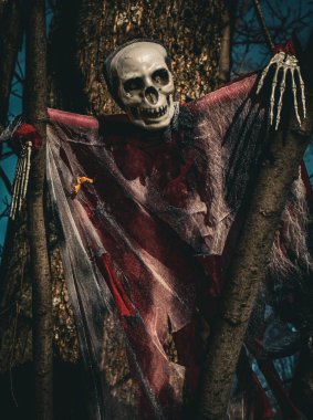 Ağaçta saklanan ürkütücü iskelet.