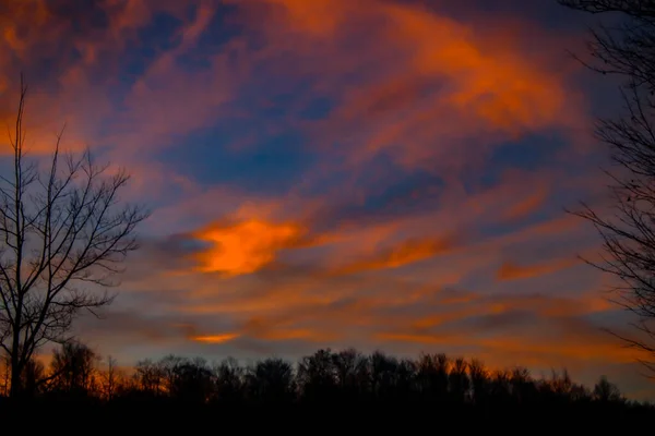 Kuzey Michigan Kasım Ayında Ağaçların Üzerinde Güzel Bir Günbatımı Manzarası — Stok fotoğraf