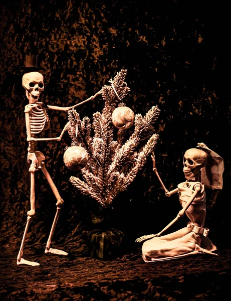 Skeleton Bride Groom Decorating Christmas Tree Holidays — 스톡 사진