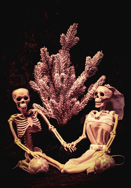 Casal Noiva Noivo Esqueleto Preparando Para Decorar Uma Árvore Natal — Fotografia de Stock