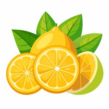 Beyaz arkaplanda limon meyve vektörü çizimi izole edildi
