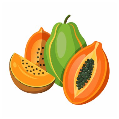 Papaya. Ripe papaya fruit whole and slice vector illustration. clipart