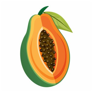 Papaya. Olgun papaya meyvesi ve vektör illüstrasyonunu dilimle.