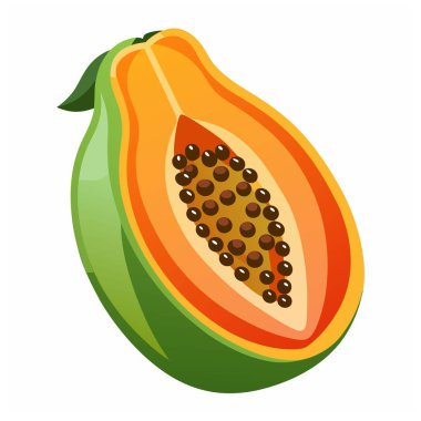 Papaya. Olgun papaya meyvesi ve vektör illüstrasyonunu dilimle.