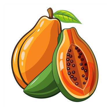 Papaya. Olgun papaya meyvesi ve vektör illüstrasyonunu dilimle.