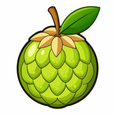 Custard apple. Custard apple hand-drawn illustration. Vector doodle style cartoon illustration clipart