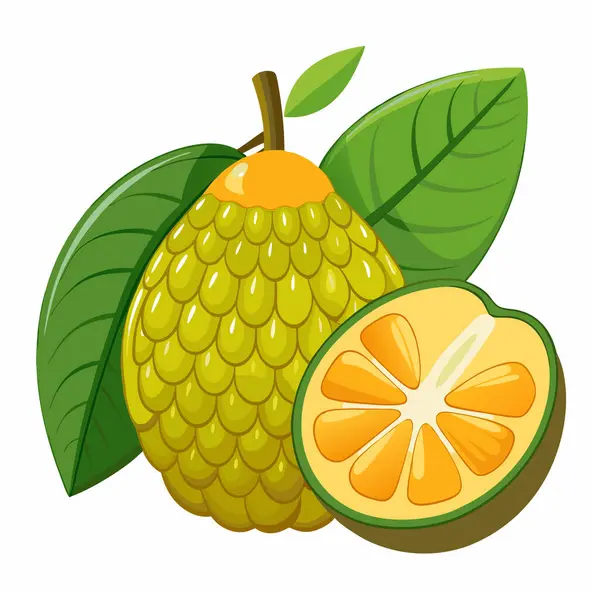 stock vector Jackfruit. Vector illustration cartoon flat icon isolated on white.