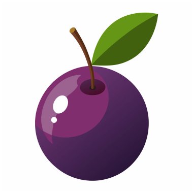 Maqui çileği. Taze sağlıklı meyveler. superfood vektör illüstrasyonu.