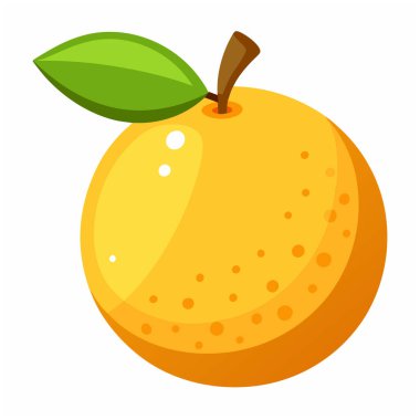 Pomelo meyveli tropikal turunçgiller, vektör izole edilmiş çizimler. Pummelo meyveleri yarı yarıya kesilmiş ve tam..