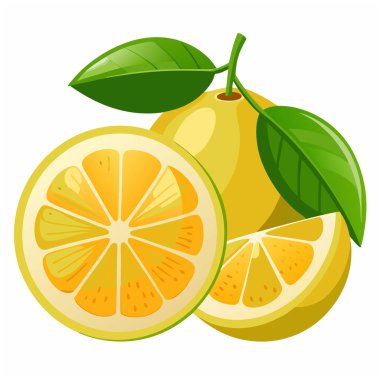 Basit yuzu vektör çizimi beyaz arkaplan