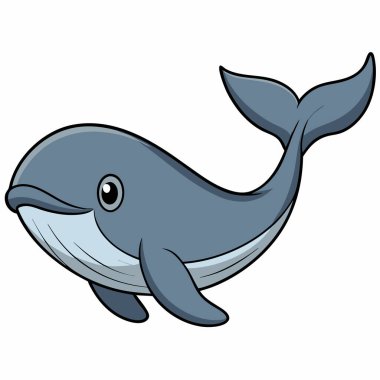 cetaceans vector illustration. cetaceans cartoon clipart, animal in flat style. clipart