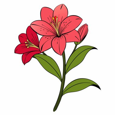 Beyaz zemin üzerinde pembe alstroemeria çiçekleri ve taç yaprakları düz vektör