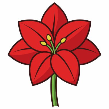 Amaryllis düz vektör botanik çizimi.
