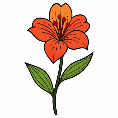 Beyaz zemin üzerinde pembe alstroemeria çiçekleri ve taç yaprakları düz vektör