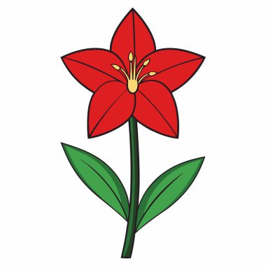 Amaryllis düz vektör botanik çizimi.