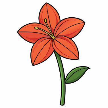 Amaryllis düz vektör botanik çizimi.