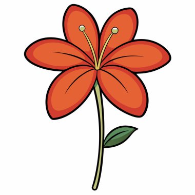 Amaryllis düz vektör botanik çizimi.