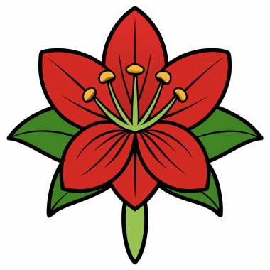 Amaryllis düz vektör botanik çizimi.