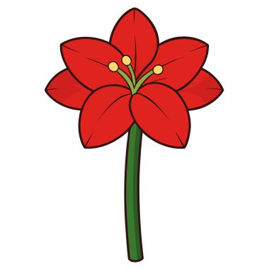 Amaryllis düz vektör botanik çizimi.
