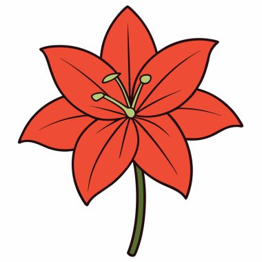 Amaryllis düz vektör botanik çizimi.