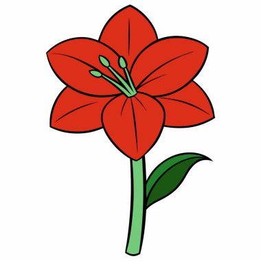 Amaryllis düz vektör botanik çizimi.