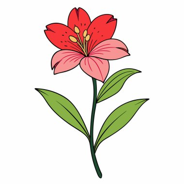 Beyaz zemin üzerinde pembe alstroemeria çiçekleri ve taç yaprakları düz vektör