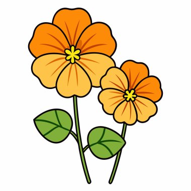 nasturtium, vektör beyaz arkaplanda çiçekler çiziyor,